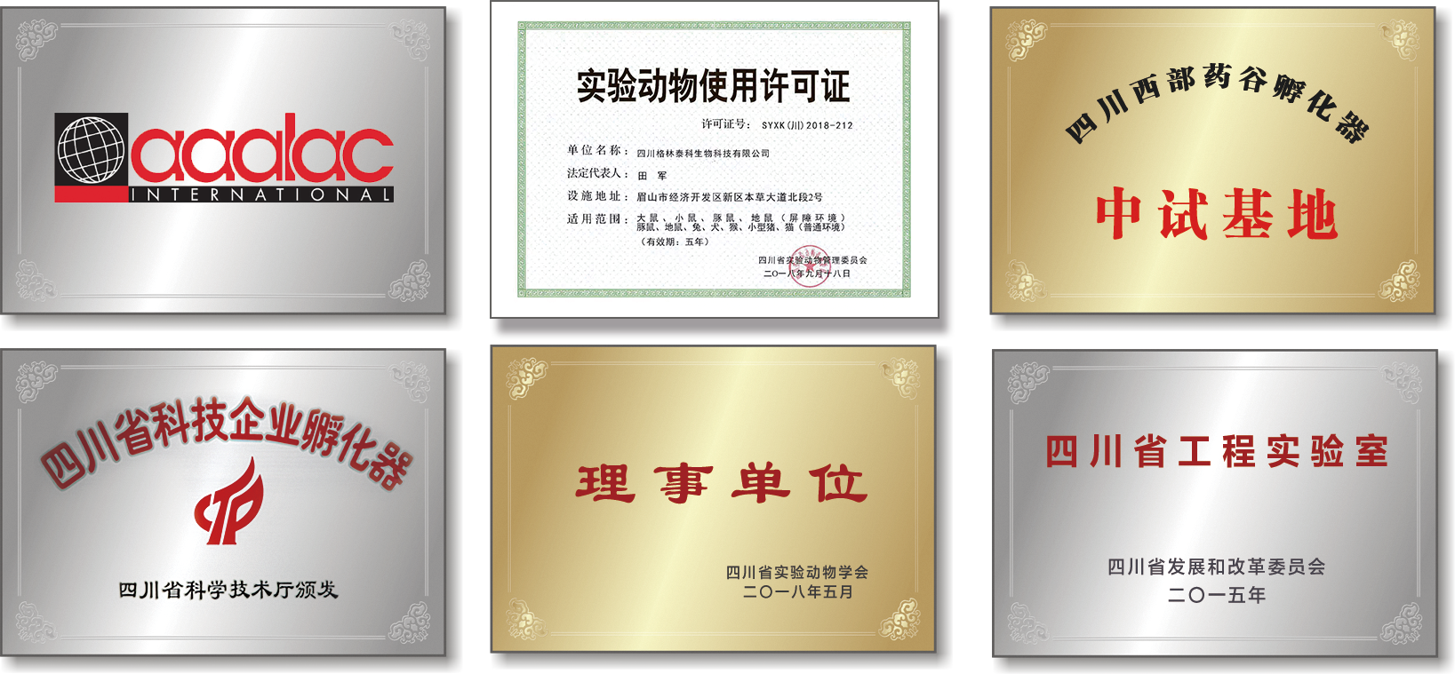 中試基地.png